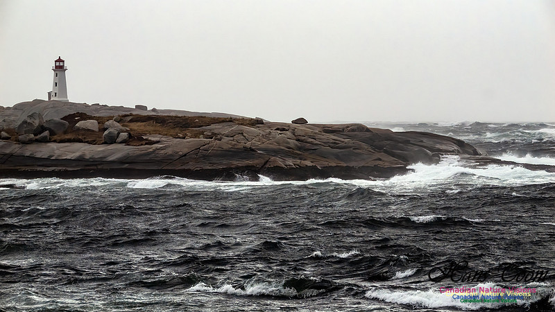 December Gale 162