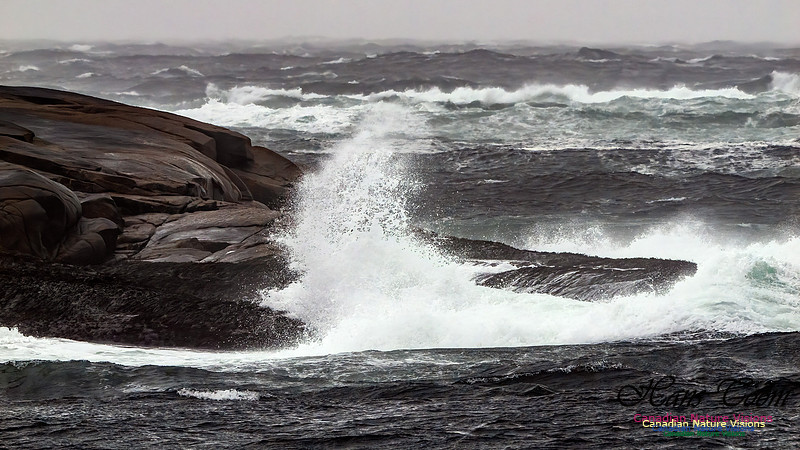 December Gale 164