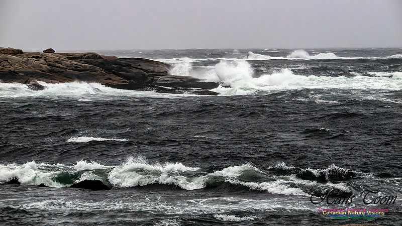December Gale 167