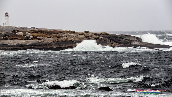 December Gale 168