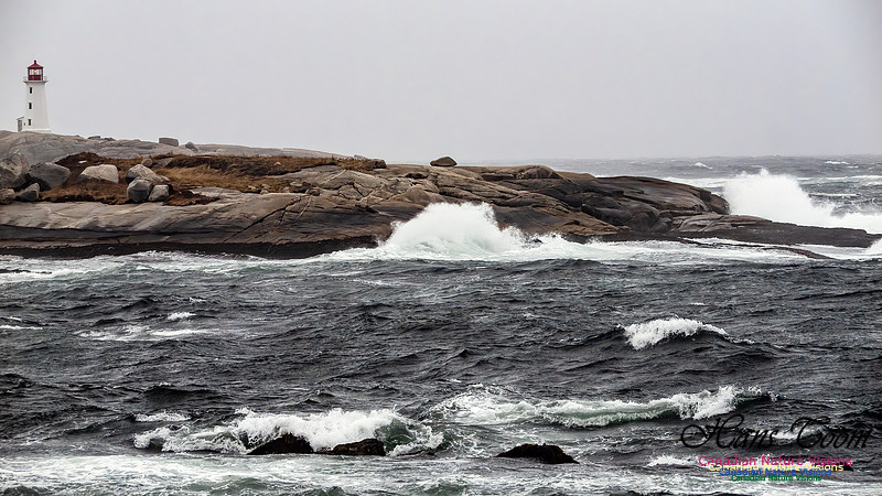 December Gale 168