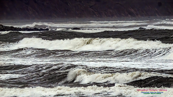 December Gale 169