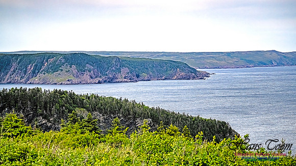 Baccalieu Coastal Drive 104