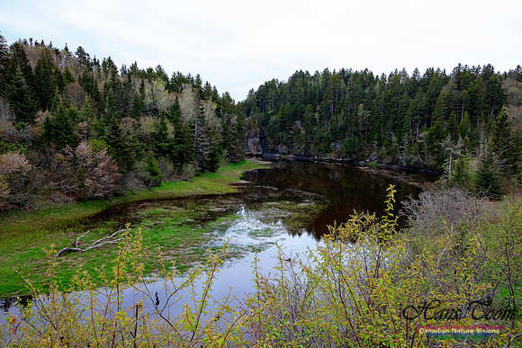 Cape Chignecto Expedition Scenes 43