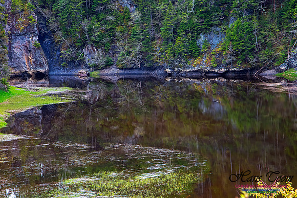 Cape Chignecto Expedition Scenes 41