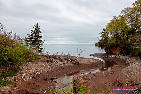 Cape Chignecto Expedition Scenes 40