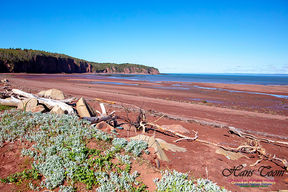 Cape Chignecto Expedition Scenes 54