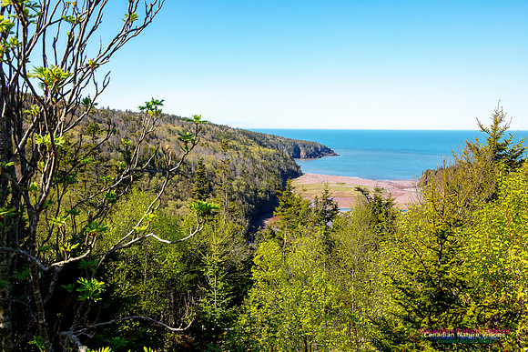 Cape Chignecto Expedition Scenes 51