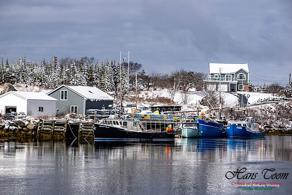 April Snow in Nova Scotia 204