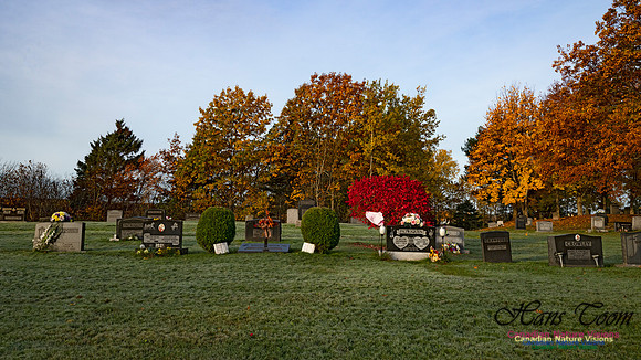 Fall Colours in the Hardwood Forests 117