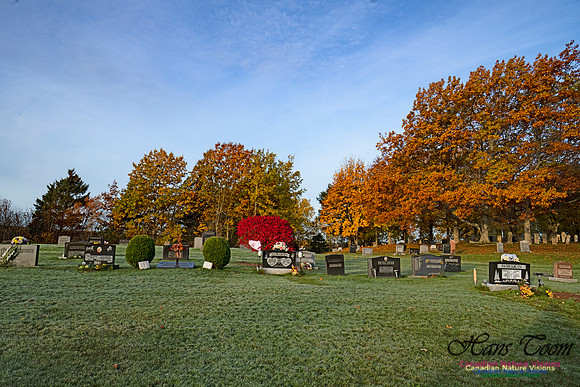Fall Colours in the Hardwood Forests 118