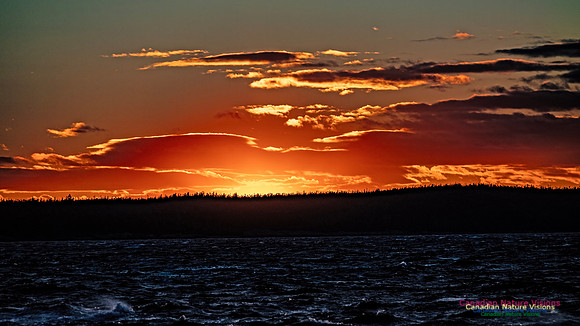Peggy's Cove Sunset 901