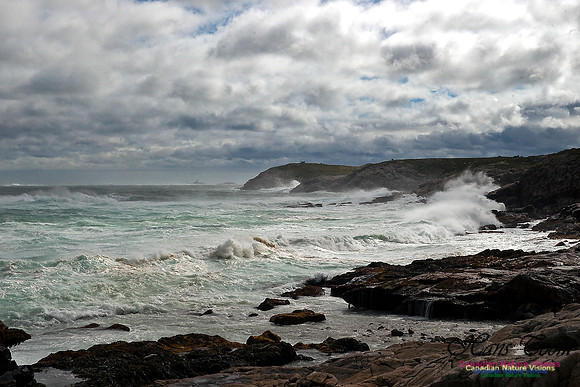 Hurricane Bill at Eastern Head