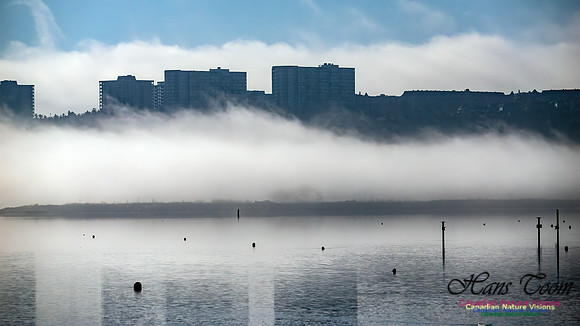 Christmas Morning Bedford Basin 103