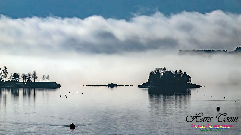 Christmas Morning Bedford Basin 104