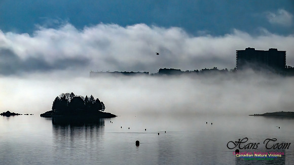 Christmas Morning Bedford Basin 105