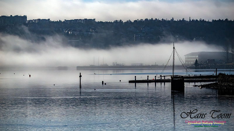 Christmas Morning Bedford Basin 106