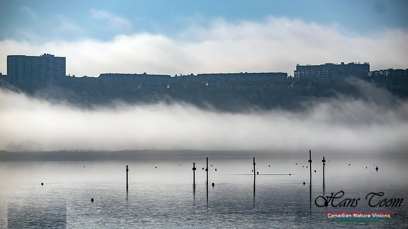 Christmas Morning Bedford Basin 108