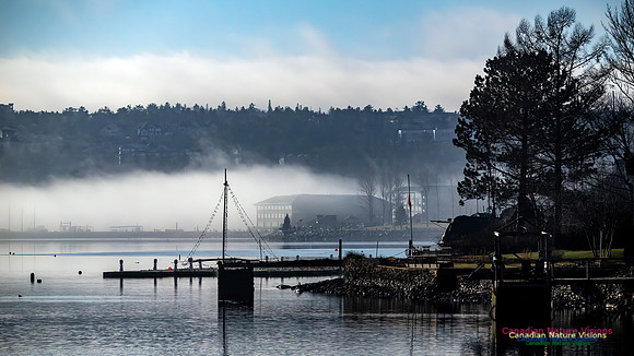 Christmas Morning Bedford Basin 107