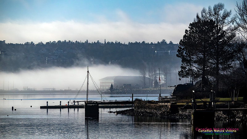 Christmas Morning Bedford Basin 107
