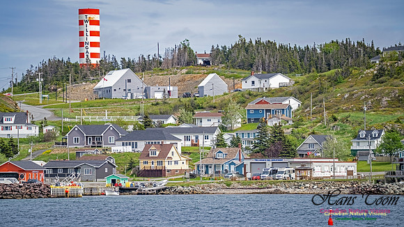 Twillingate 118