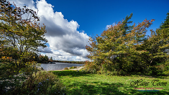 Sambro Loop 121