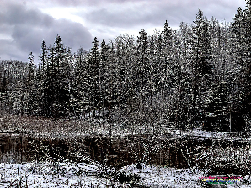 End of 2023 Scenes 100 copy