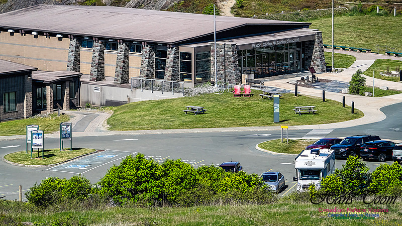 St. John's, Newfoundland 118