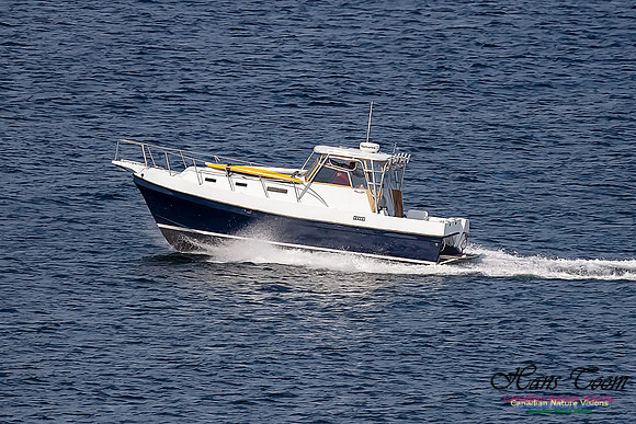 Cruising Boat 100