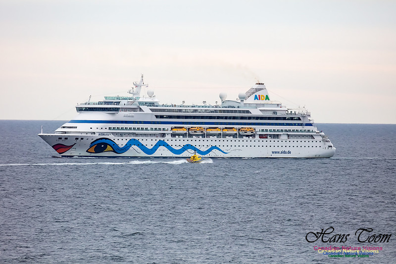 Aida 104