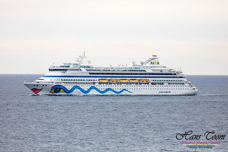 Aida 103