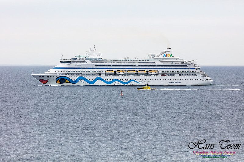 Aida 102
