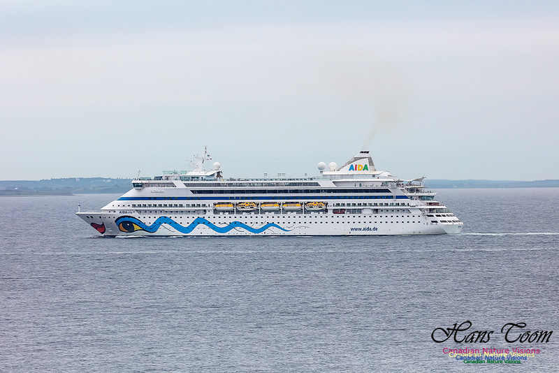 Aida 101