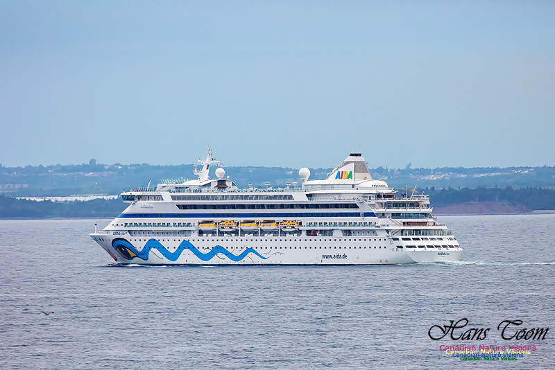 Aida 100