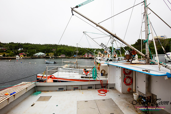 Aspotogan Peninsula 223
