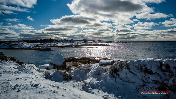 Peggys Cove Post Snow Storm 126