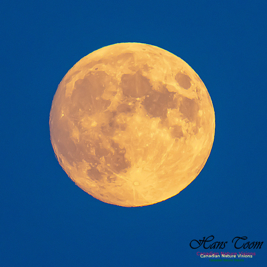 Full Moon -1 July 16, 2019 11