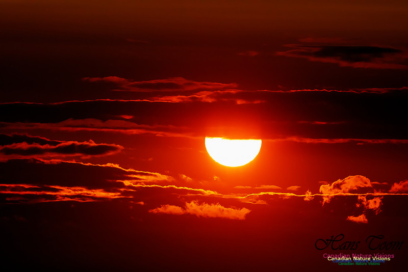 Peggy's Light Sunset 308