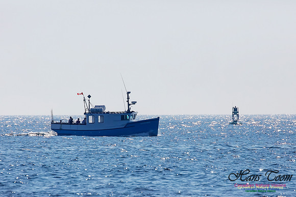 Sport Fisher 100