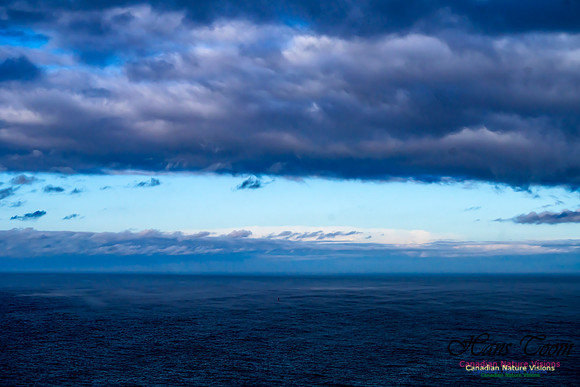 Aura of Ocean 101