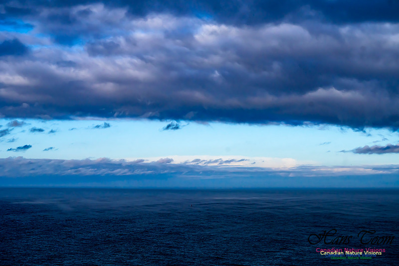 Aura of Ocean 101