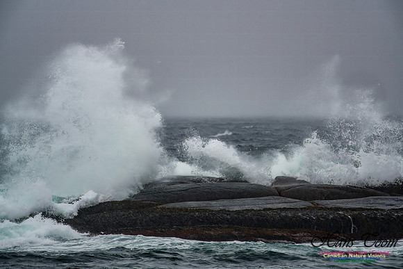 Nova Scotia Winter Scenes 114
