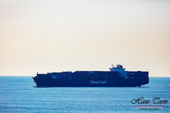 Container Ship 100