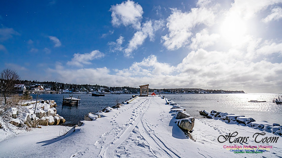 Nova Scotia Winter 335