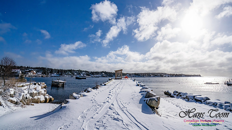 Nova Scotia Winter 335