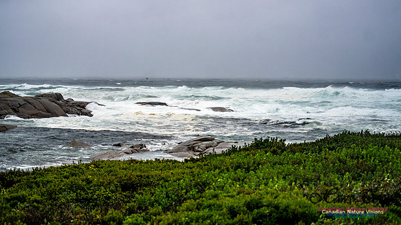 Nova Scotia Gale 2024-09-07 154