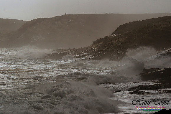 Eastern Head Gale