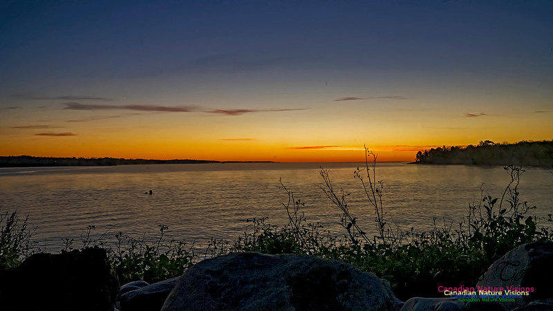Liverpool Sunrise 104