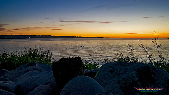 Liverpool Sunrise 102