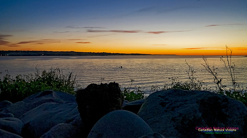 Liverpool Sunrise 102